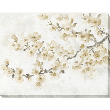 Neutral Cherry Blossom I By Tim O'toole - Printed Canvas