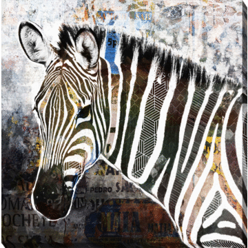 Pop Art Wildlife Canvas [zebra] - Wrapped Canvas