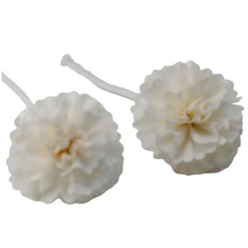 Natural Diffuser Flowers - Med Carnation On String - Pack Of 12