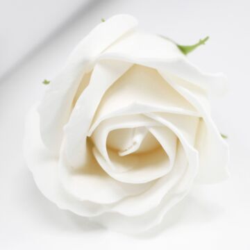 Craft Soap Flowers - Med Rose - White - Pack Of 10