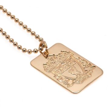 Liverpool Fc Gold Plated Dog Tag & Chain