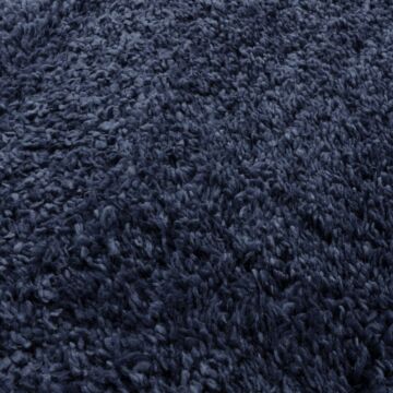 Ritchie 080x150cm Blue Rug