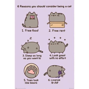 Pusheen Poster Reasons 157