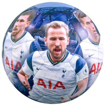 Tottenham Hotspur Fc Players Photo Football