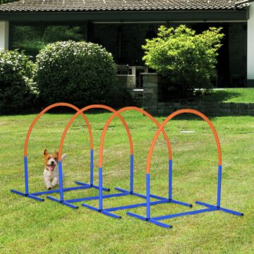 Pawhut 4pcs Portable Dog Agility Equipment Blue