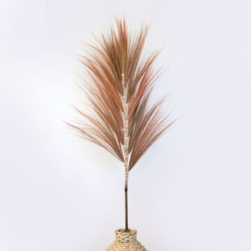 Dried Rayung Grass Coral - 1.6m