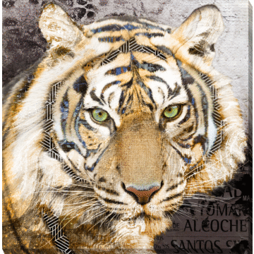 Pop Art Wildlife Canvas [tiger] - Wrapped Canvas