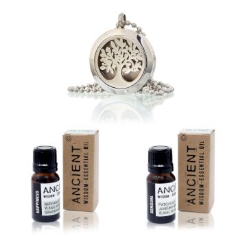 Diffuser Necklace And Essential Oil Blends Set