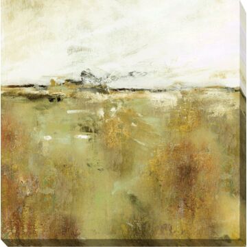 Dream Fields Ii By Carol Robinson - Canvas Print