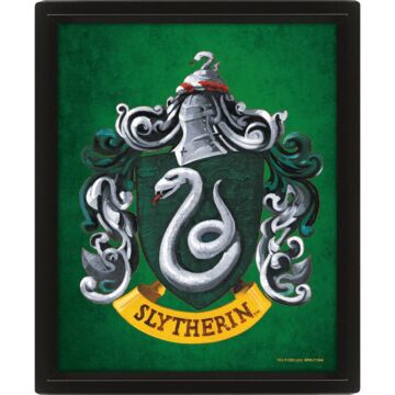 Harry Potter Slytherin Framed 3d Picture