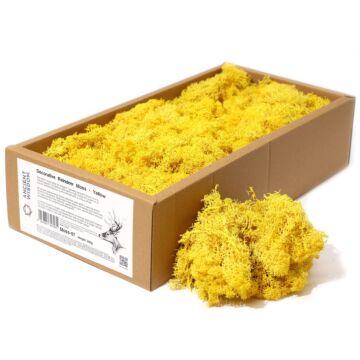 Decoration Reindeer Moss - Yellow - (approx 500gm)