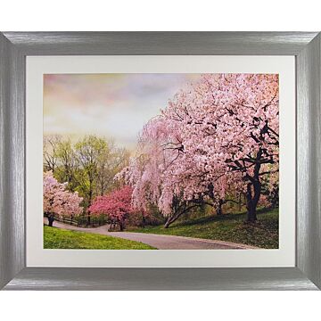 Cherry Grove By Jessica Jenney - Framed Art
