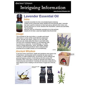 Lavender Essential Oil Info