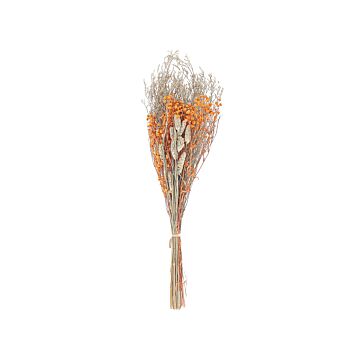 Dried Flower Bouquet Orange Natural Dried Flowers 65 Cm Wrapped In Brown Paper Natural Table Decoration Beliani