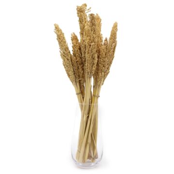 Cantal Grass Bunch - Natural
