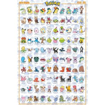 Pokemon Poster Johto 212