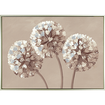 Chocolate Allium Hearts By Kaye Lake