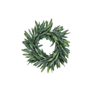 Eucalyptus Wreath Dusky Green D500mm