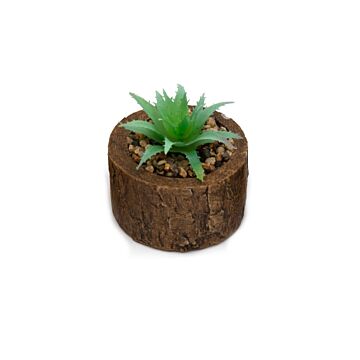 Bark Effect Pot And Succulent