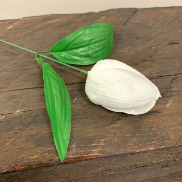Craft Soap Flower - Med Tulip - White - Pack Of 10