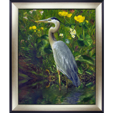 Jungled Water Bird Iii By Steve Hunziker - Framed Art