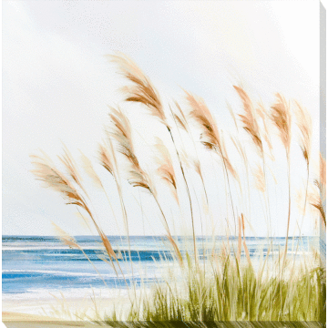 Beach Pampas By Isabelle Z - Canvas Print