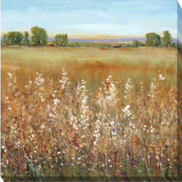 Abundance Of Wildflowers Ii By Tim O'toole - Canvas Print