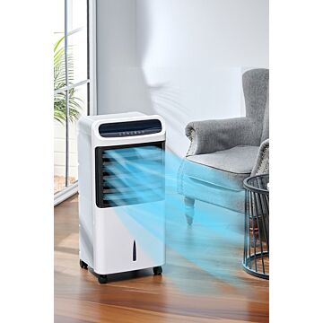 12l 2 In 1 Air Cooler And Heater With Remote Control