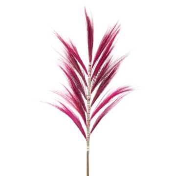 Dried Rayung Grass Pink- 1.6m