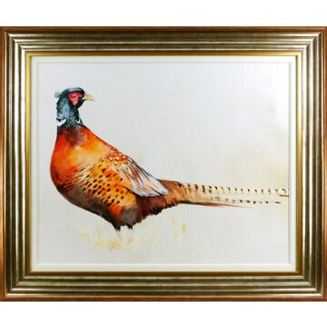 Pheasant By Jennifer Paxton Parker
