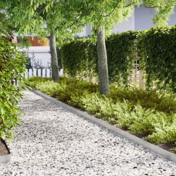 Vidaxl Lawn Edgings 50 Pcs 100x0,5x15 Cm Stainless Steel