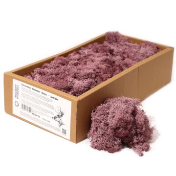 Decoration Reindeer Moss - Lavender - (approx 500gm)