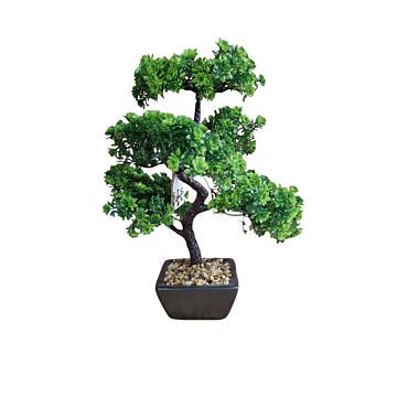 Bonsai Tree Decoration Boxwood 37cm