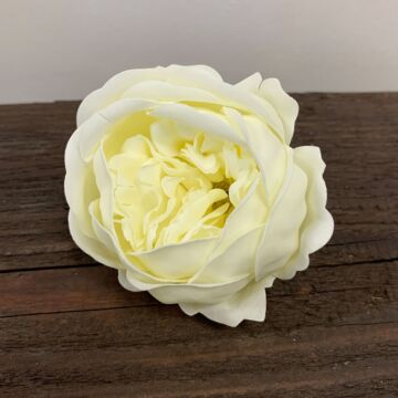Craft Soap Flower - Ext Large Peony - Ivory - Pack Of 10