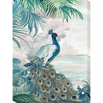 Peacock Glory I By Eva Watts