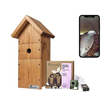 Green Feathers Bird Box Camera Hd Deluxe Bundle Network Cable Connection