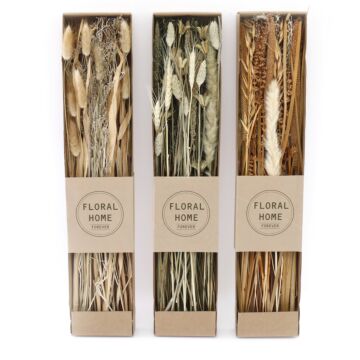 Set Of 3 Dried Grasses In Display Box