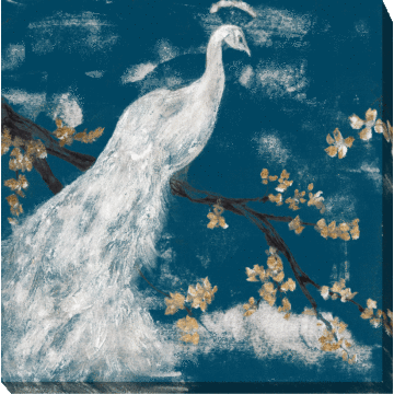 White Peacock On Indigo I By Jennifer Goldberger - Canvas Print