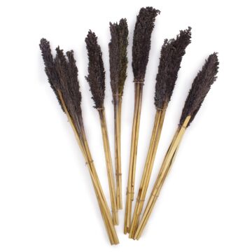 Cantal Grass Bunch - Black