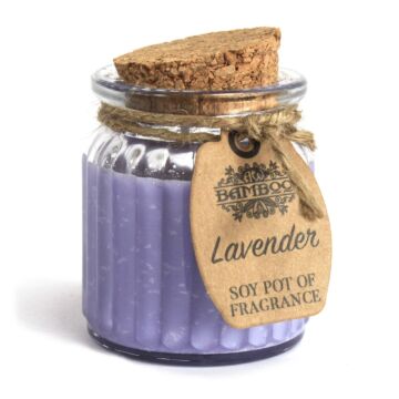 Lavender Soy Pot Of Fragrance Candles (pack Of 2)