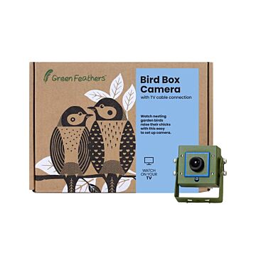 Green Feathers Bird Box Camera Tv Cable Connection (camera Only)