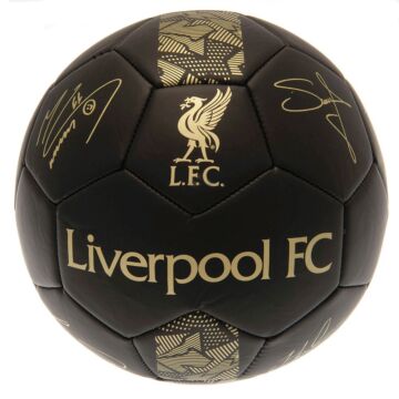 Liverpool Fc Sig Gold Phantom Football