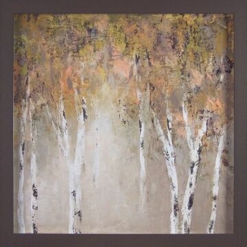 Sunlit Birch I By Carol Robinson