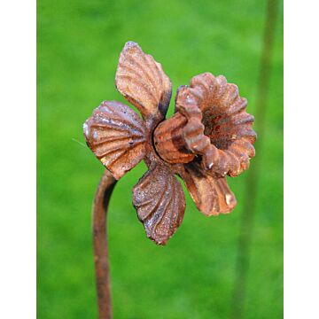 Daffodil Feature Plant Pin 4ft Bare Metal/ready To Rust