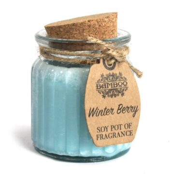 Winter Berry Soy Pot Of Fragrance Candles (pack Of 2)