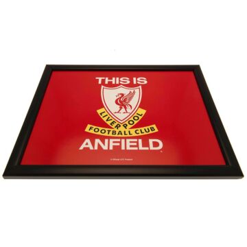 Liverpool Fc Cushioned Lap Tray