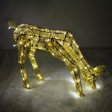 Light Up Reindeer Gold Grazing Doe - 61cm 120 Ice White Led