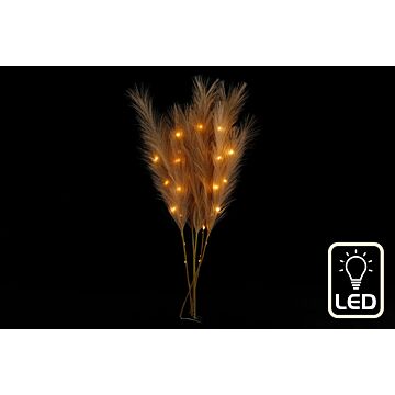 Set Of Five Brown Led Pampas Grass Stems