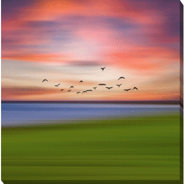 Birds In The Sunset By Igor Vitomirov - Wrapped Canvas