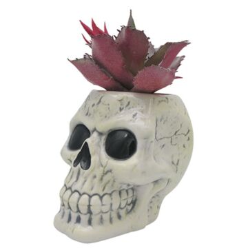 Shaped Ceramic Garden Planter/plant Pot - Ancient Skull